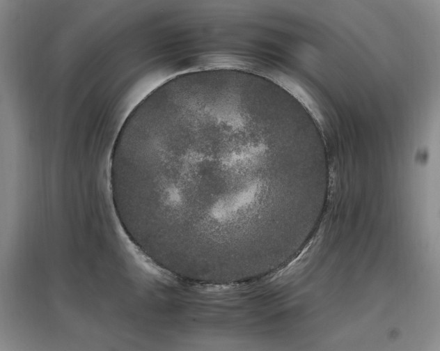 X0000097461047200802221208