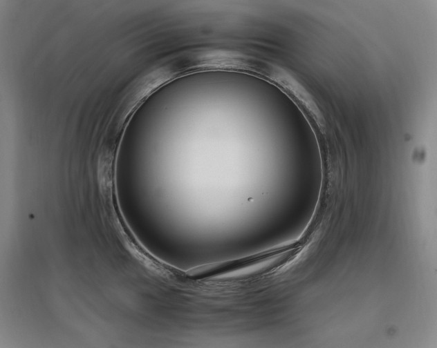 X0000097461049200802221208