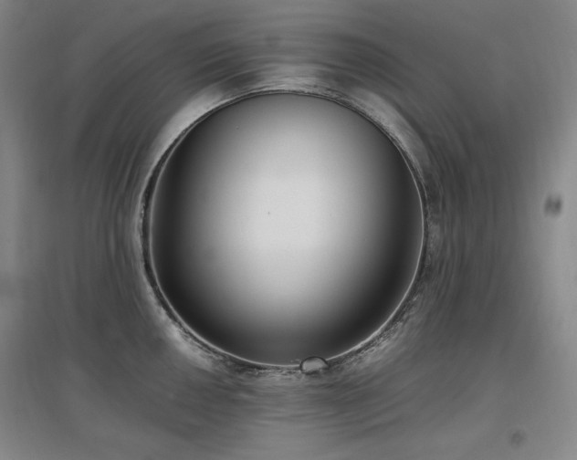 X0000097461050200802221208