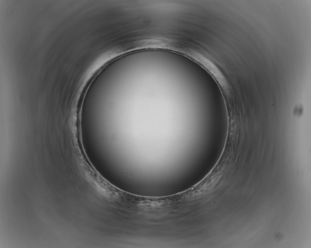X0000097461051200802221208