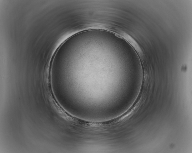 X0000097461052200802221208