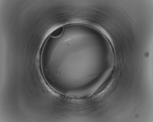 X0000097461053200802221208