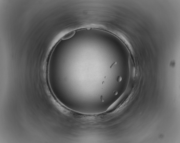 X0000097461054200802221208