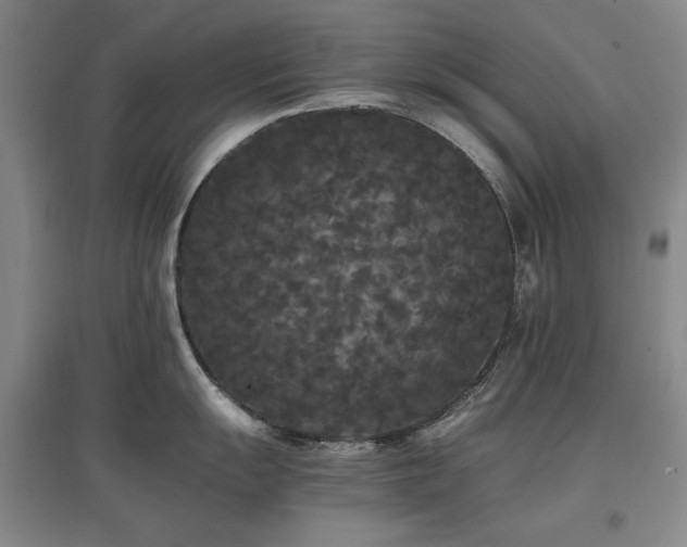 X0000097461055200802221208