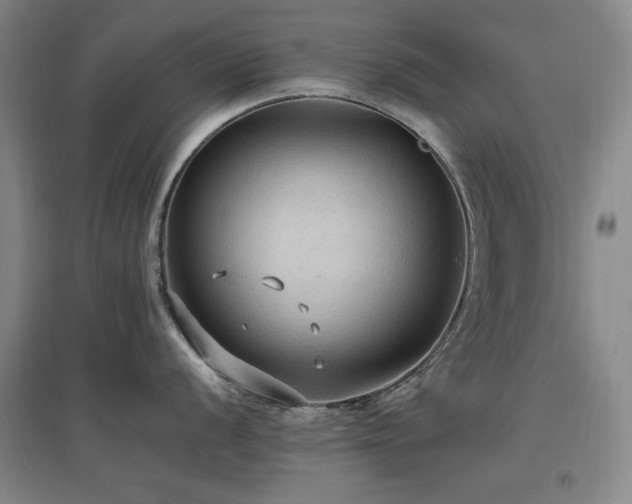 X0000097461056200802221208