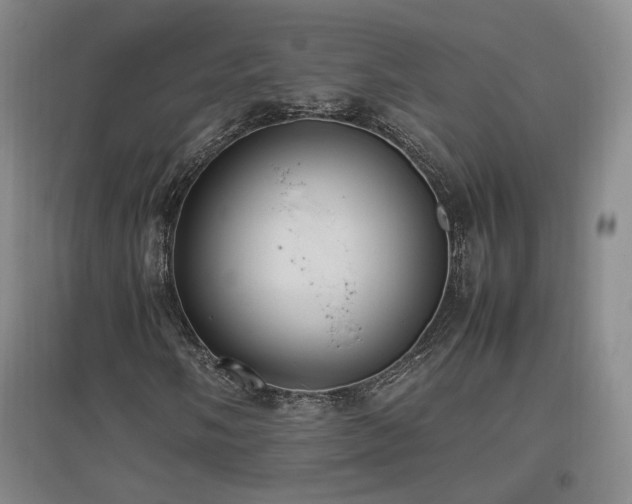 X0000097461058200802221208