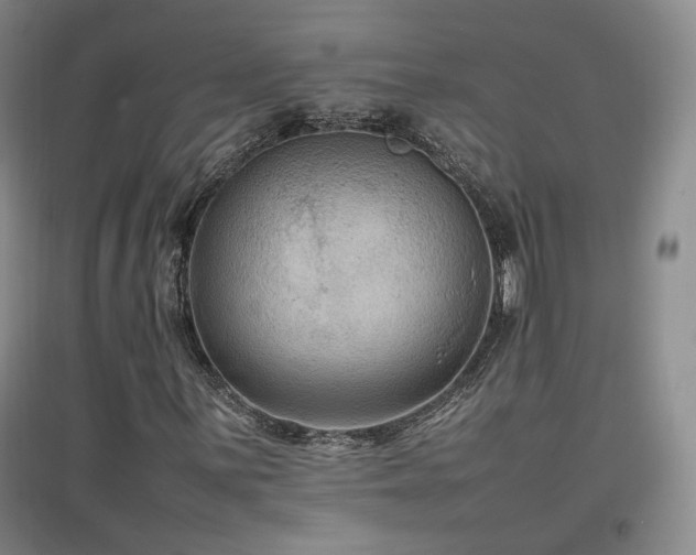 X0000097461059200802221208