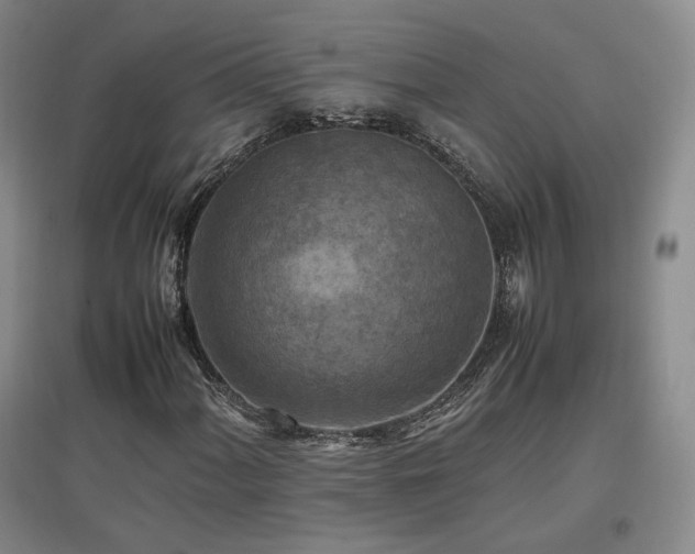 X0000097461060200802221208