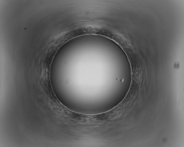 X0000097461061200802221208