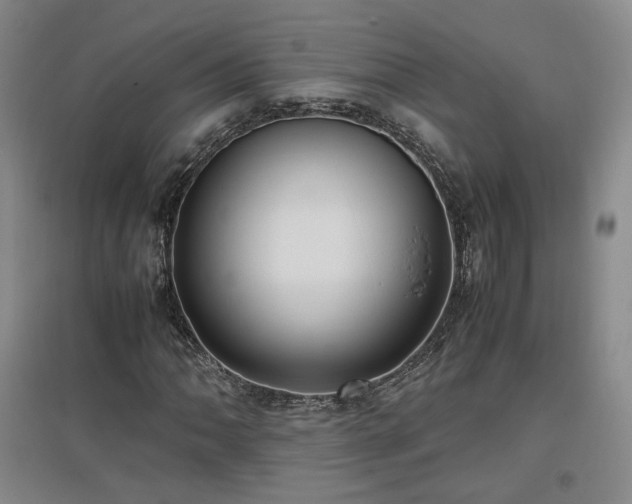 X0000097461062200802221208