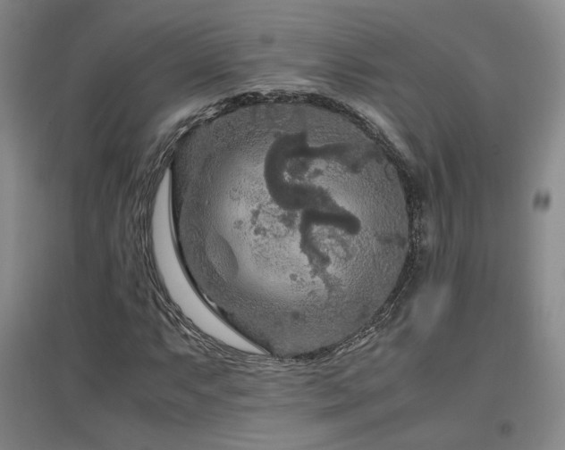 X0000097461063200802221208