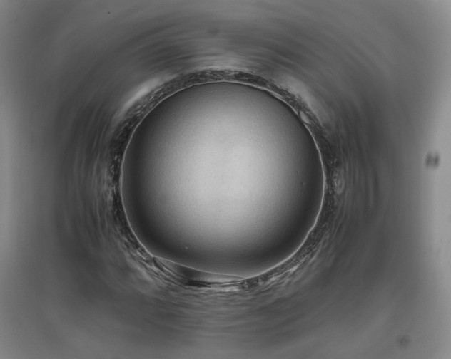 X0000097461064200802221208