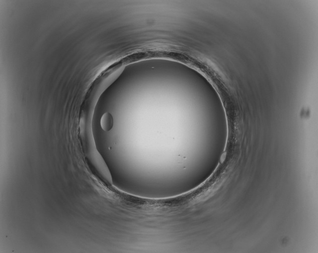 X0000097461065200802221207
