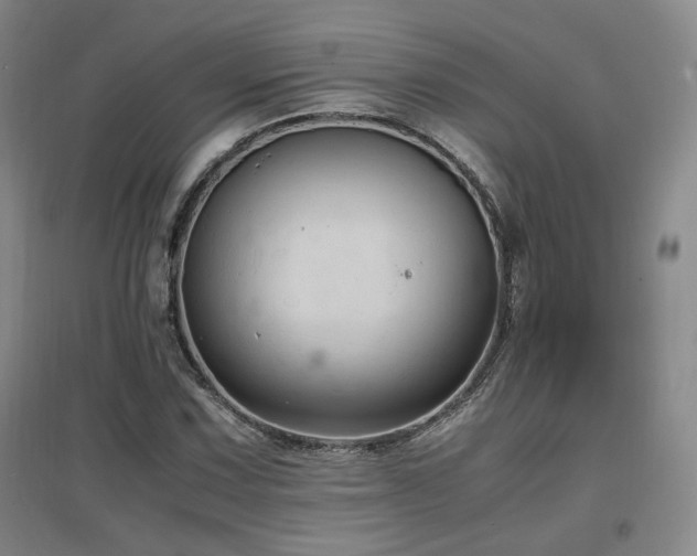X0000097461067200802221207