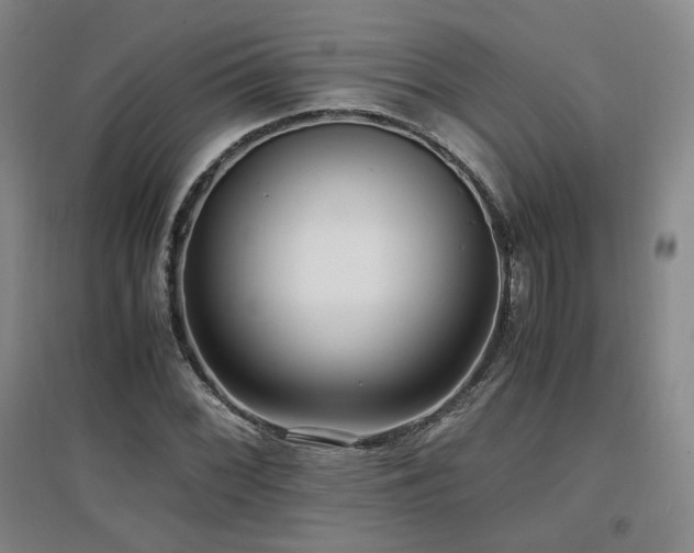 X0000097461068200802221207