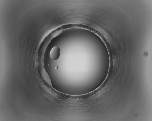 X0000097461069200802221207
