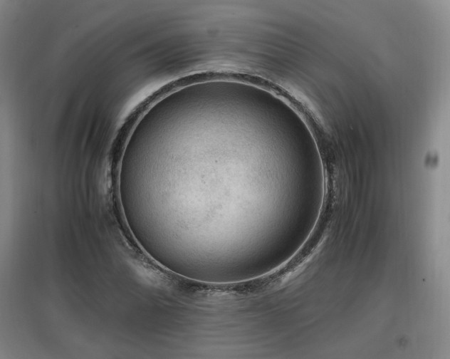 X0000097461070200802221207