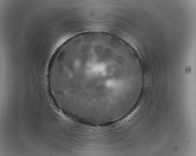X0000097461071200802221207