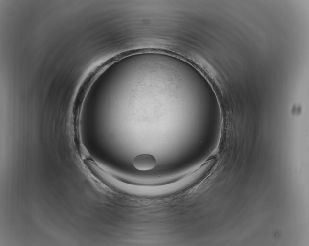X0000097461072200802221207