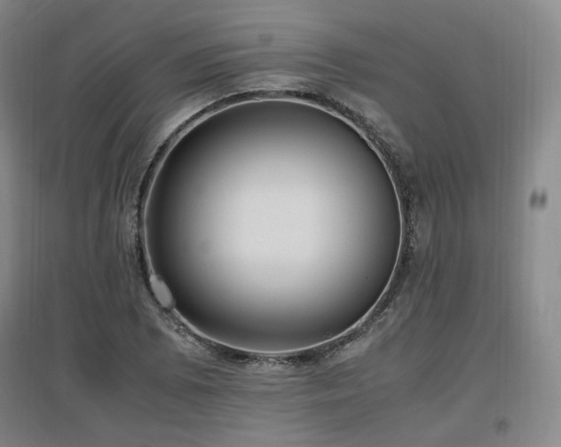X0000097461073200802221207