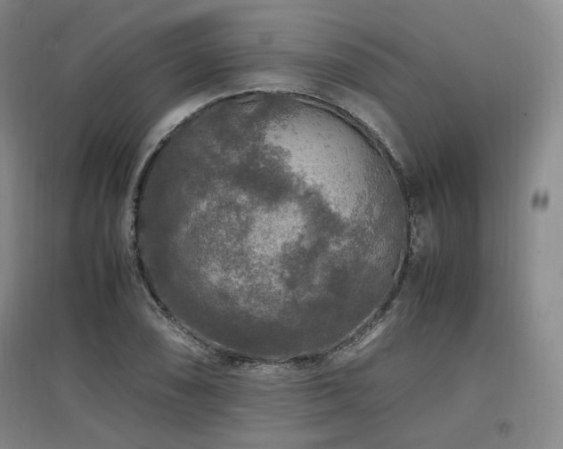 X0000097461074200802221207
