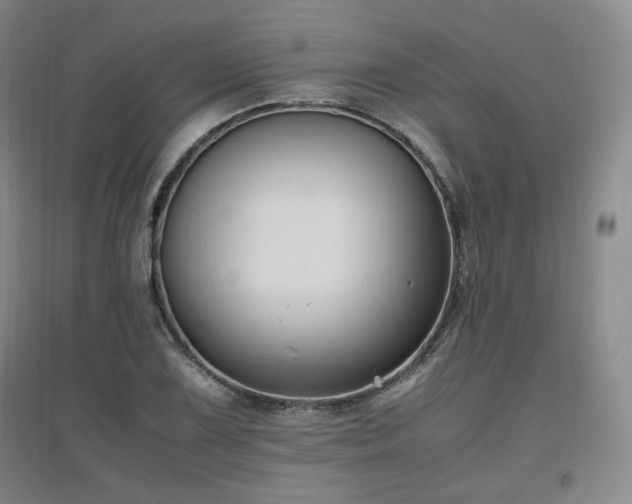 X0000097461075200802221207