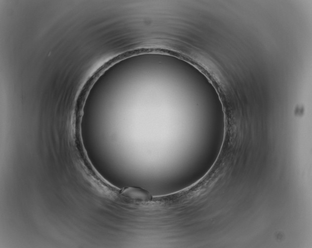 X0000097461076200802221207