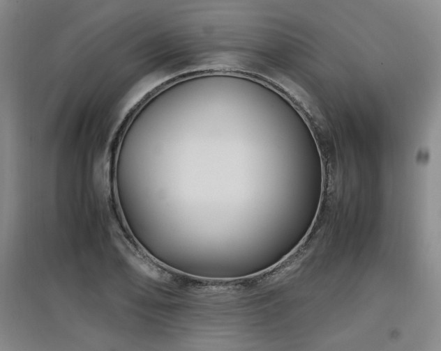 X0000097461078200802221207