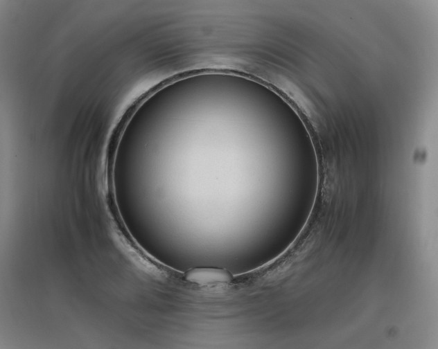 X0000097461080200802221207
