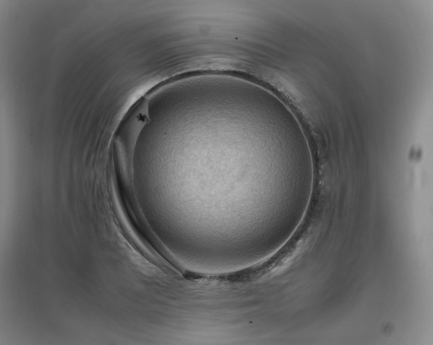 X0000097461081200802221207