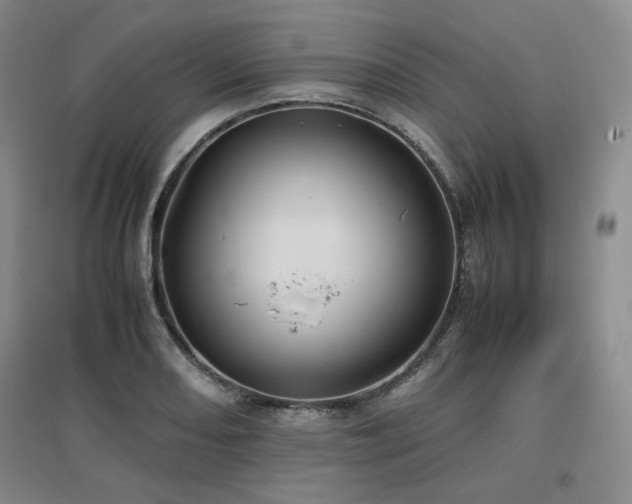 X0000097461082200802221207
