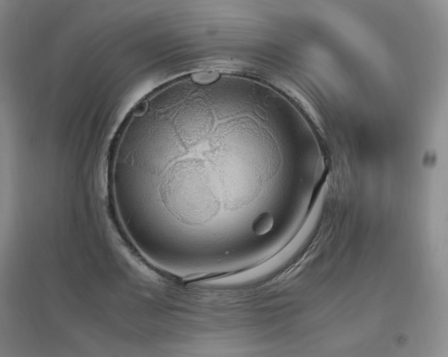 X0000097461083200802221207