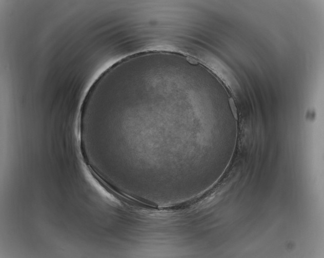 X0000097461084200802221207