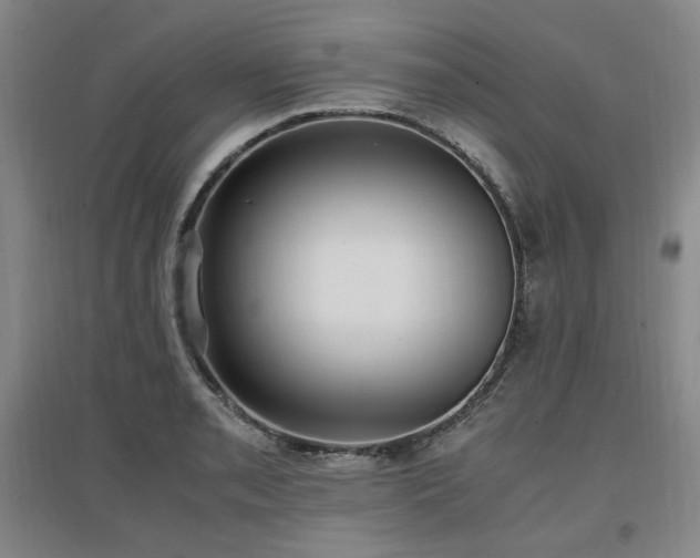 X0000097461085200802221207