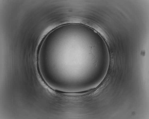 X0000097461088200802221207