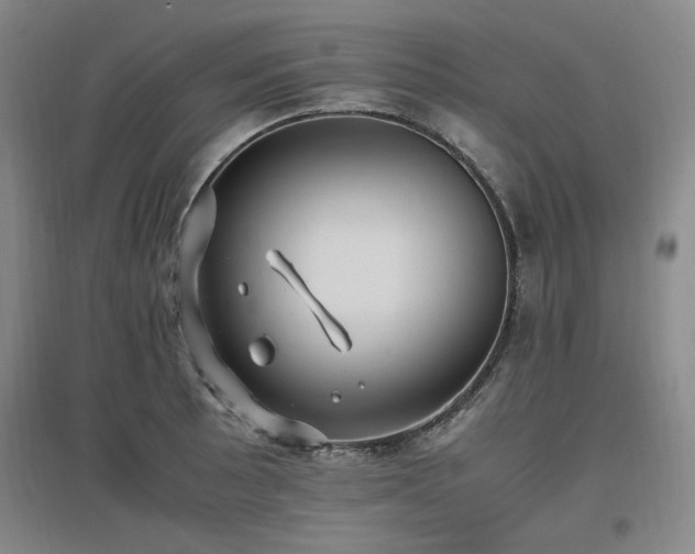 X0000097461089200802221207
