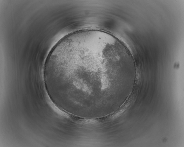 X0000097461090200802221207