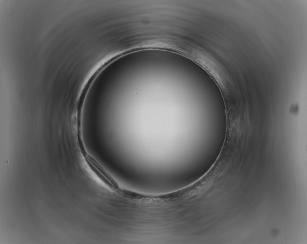X0000097461092200802221207
