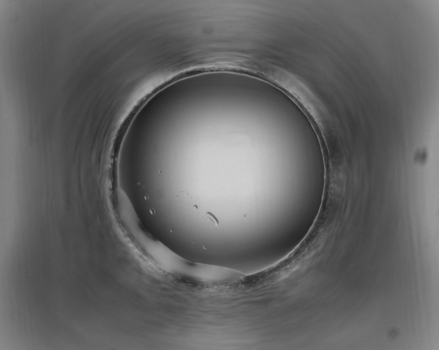 X0000097461093200802221207