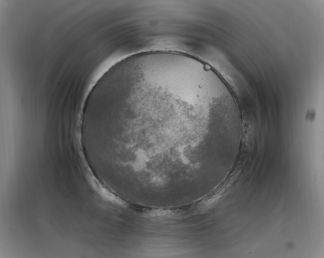 X0000097461094200802221207