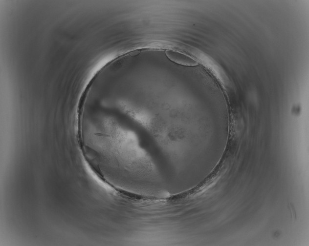 X0000097461095200802221207