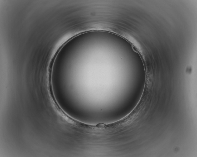 X0000097461096200802221207