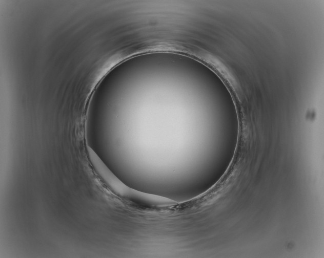 X0000097461097200802221207