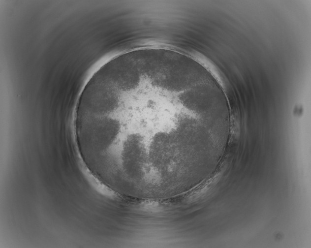 X0000097461098200802221207