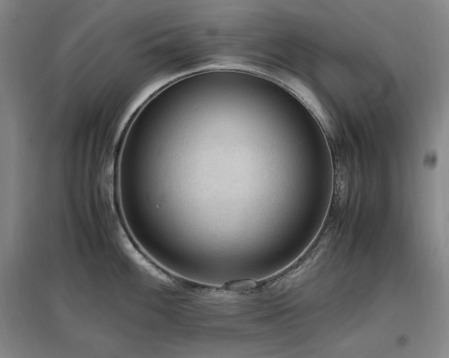 X0000097461100200802221207