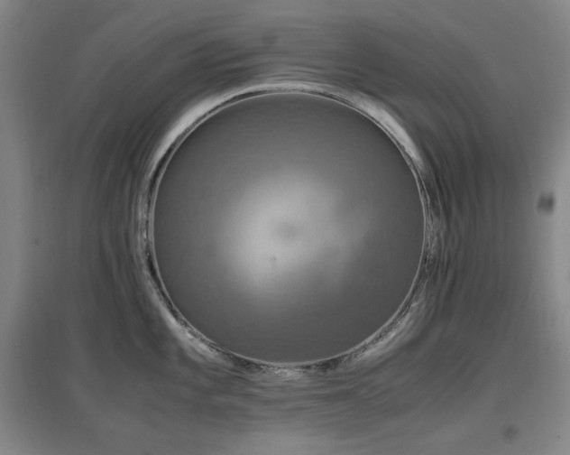 X0000097461101200802221207