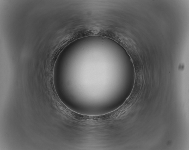 X0000097461105200802221206