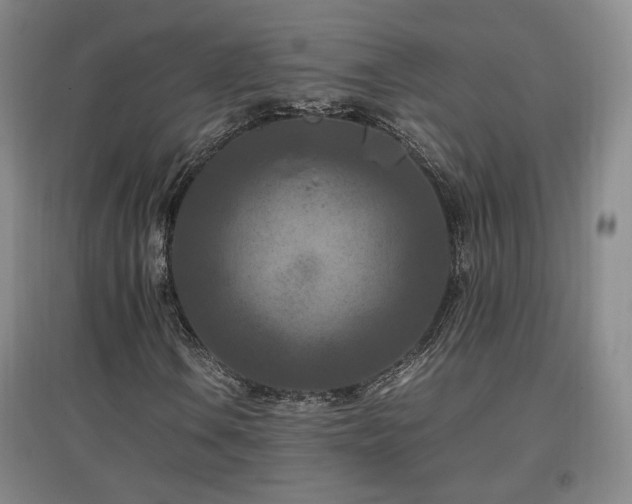 X0000097461106200802221206