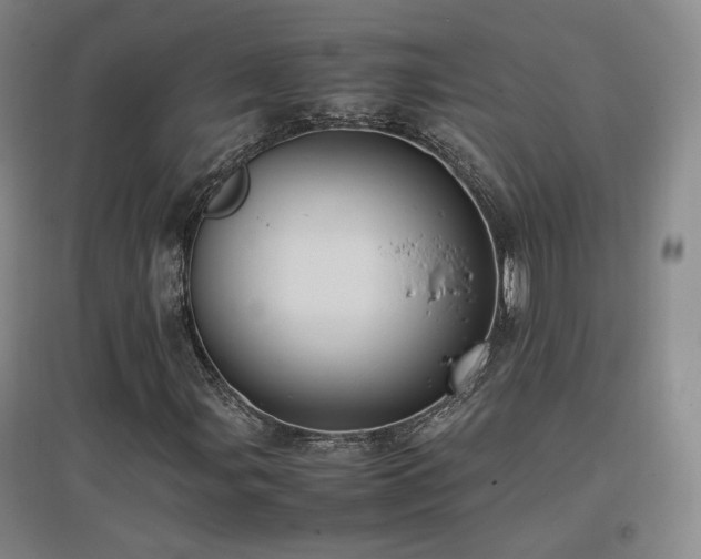 X0000097461107200802221206