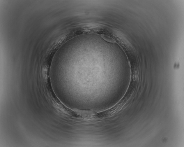 X0000097461108200802221206